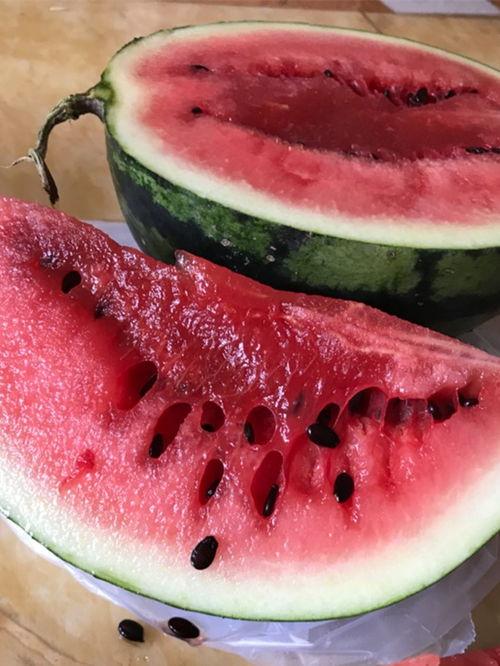 sunwall吃瓜爆料官网