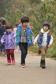 纽约网红kimi吃瓜,一场吃瓜盛宴背后的故事